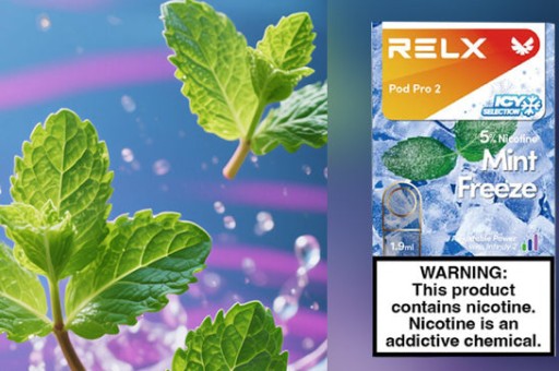 【老玩家推薦】CHILL8800口桃園哪裡買？2026最新實體店與現貨查詢指南